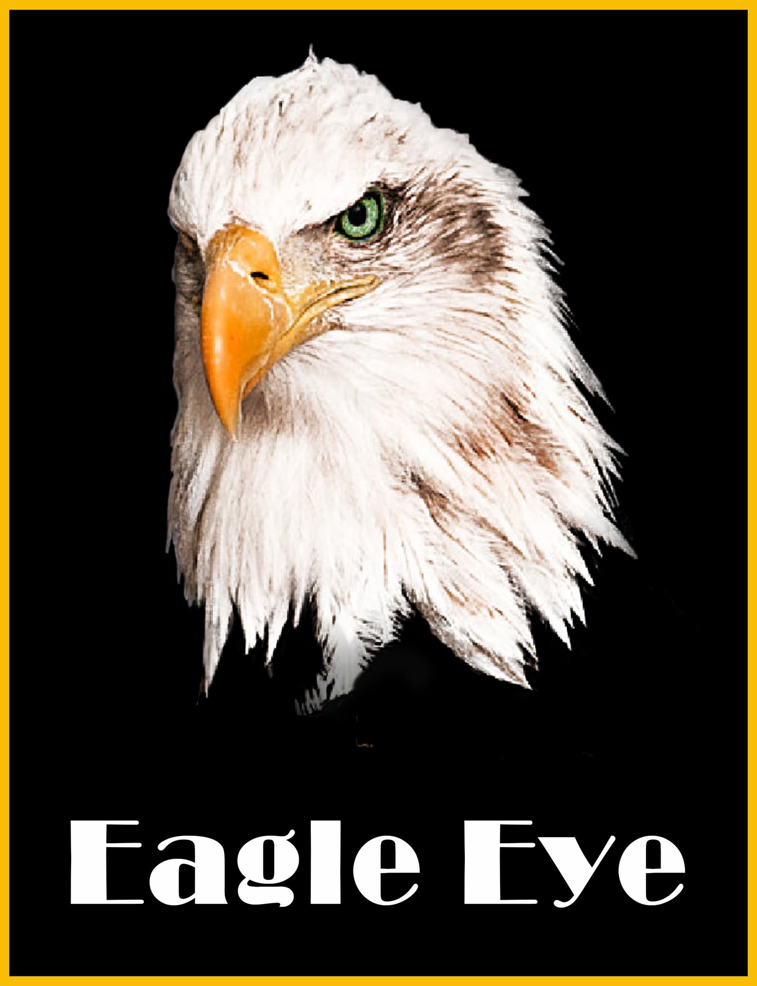 Eagle Eye Wine Logo